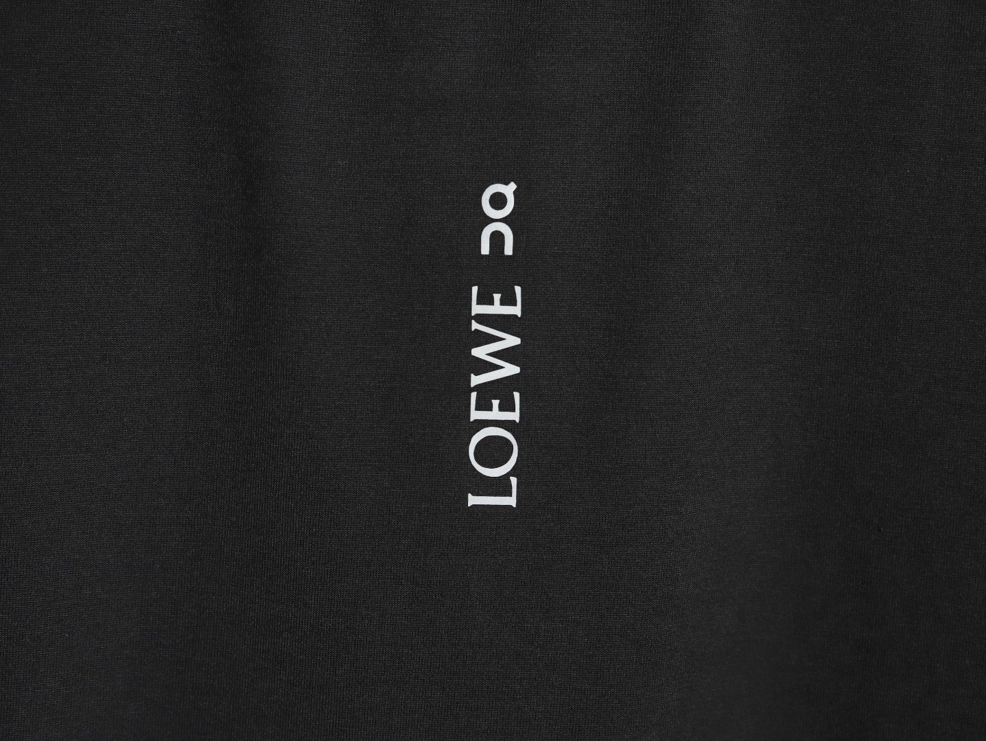 L0ew* x on 25ss short-sleeved t-shirt