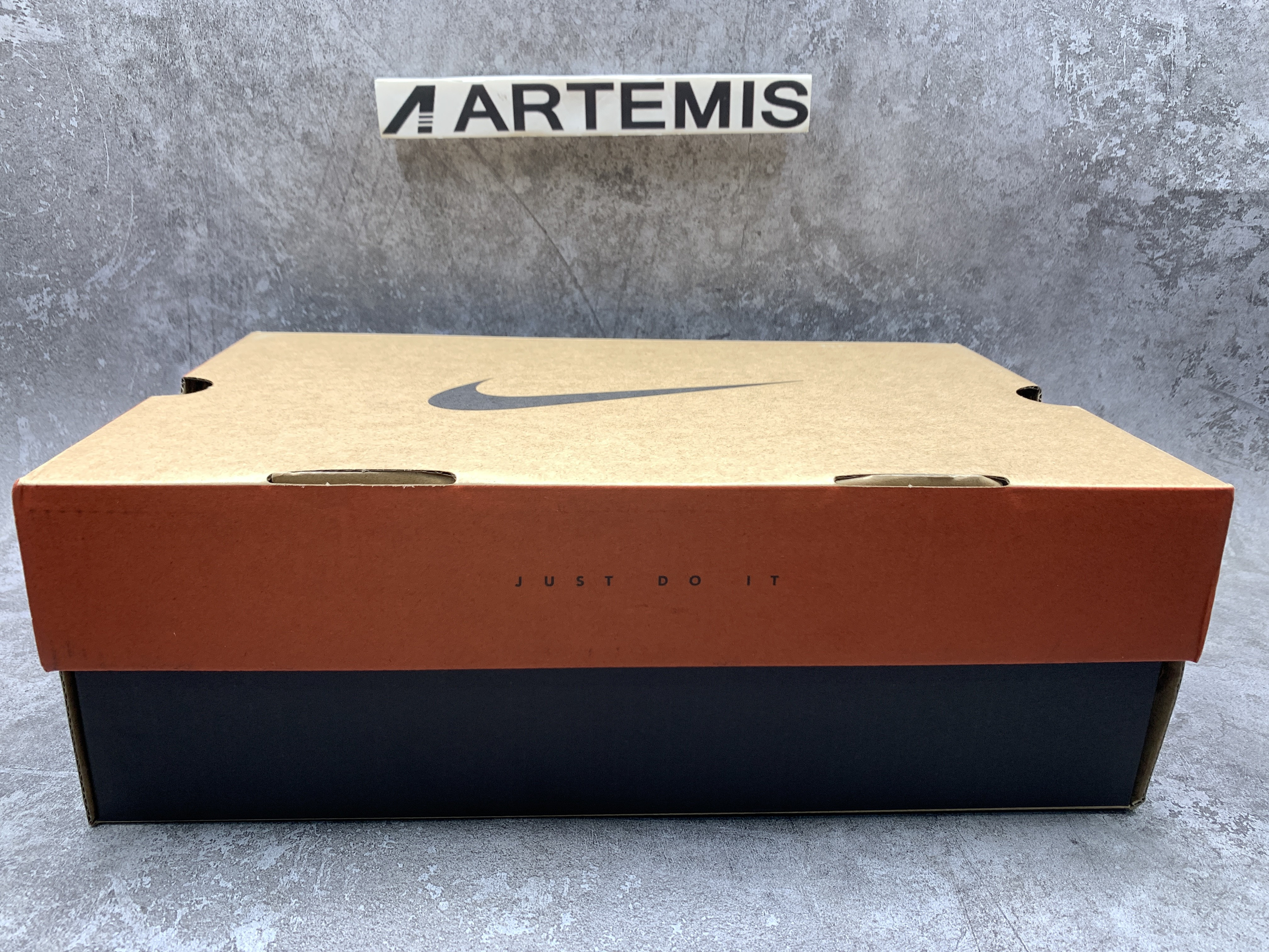 Nike Dunk Low Flip the Old School