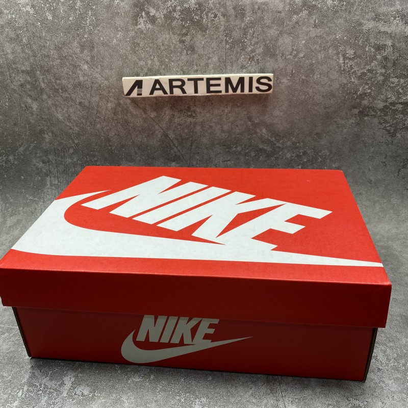 Nike Dunk Low Tennessee State University