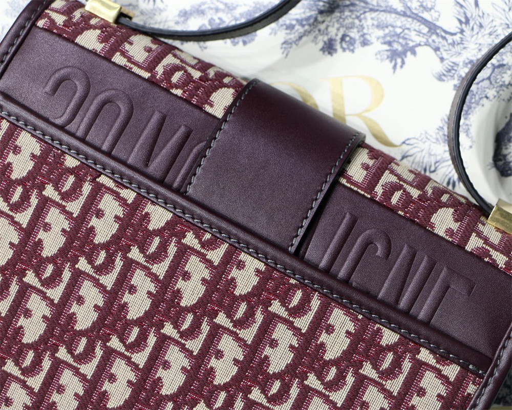 D*or 30 montaigne chain bag rosered 24x18x8 cm